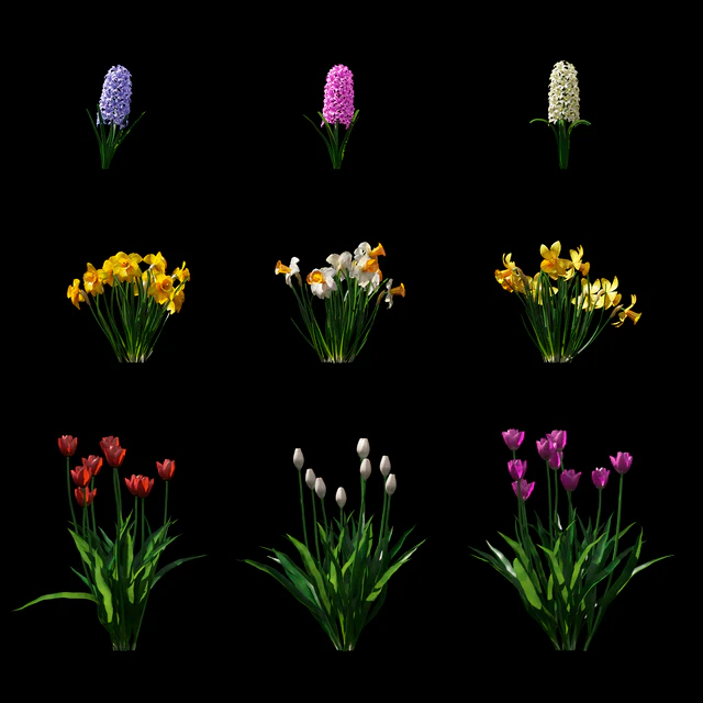 Collection of spring flowers | Spring flowers vol. 1 — Descargar