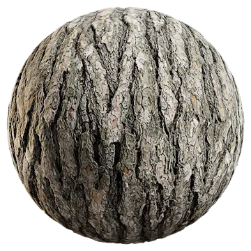 pine bark 006 — Descargar