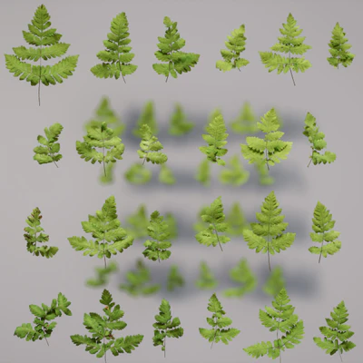 oak fern 002 — download