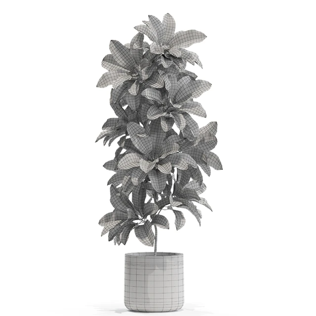 Plants collection 557 — Скачать