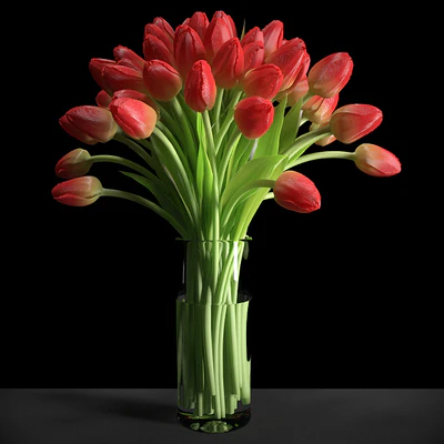 Red Tulips / Red tulips — Descargar