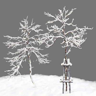 winter young trees — Ver 2