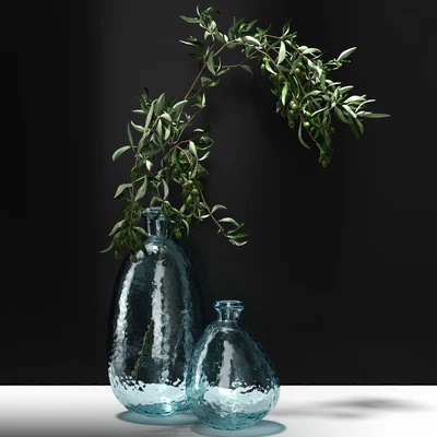 Olive branch in vase — Ver 1