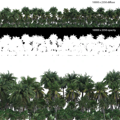 Панорама пальмового леса с картой Opacity — Скачать