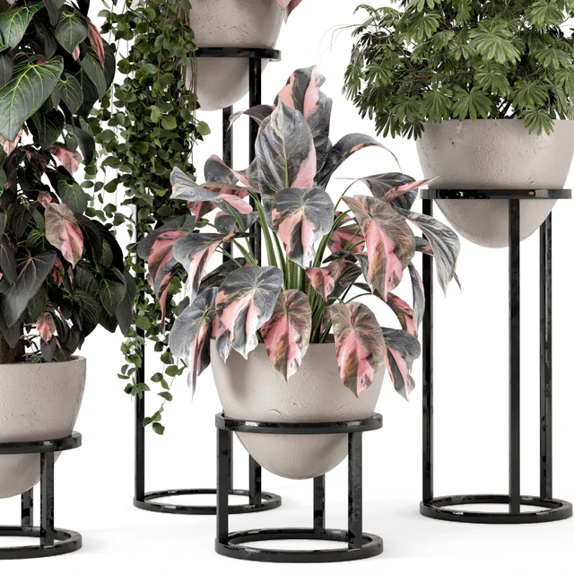 Indoor Plants in rusty Concrete Pot on Metal Shelf - Set 964 — Descargar