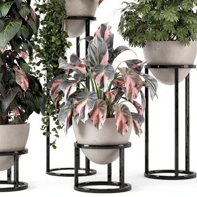 Indoor Plants in rusty Concrete Pot on Metal Shelf - Set 964 — Ver 2