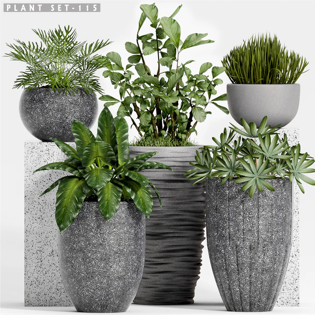 Plant set-115 — Descargar