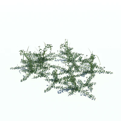 027 — Скачать