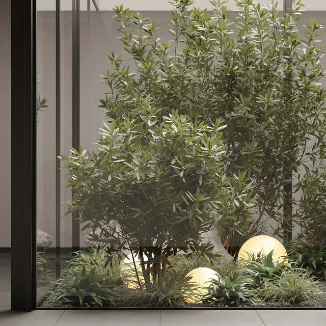 indoor plant set 70 — Descargar