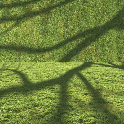Flat grass — Вид 2