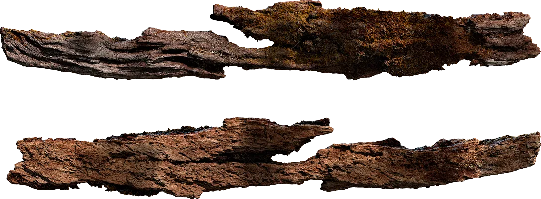 tree bark 015 — Скачать