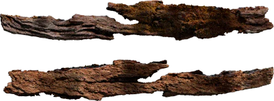 tree bark 015 — Скачать