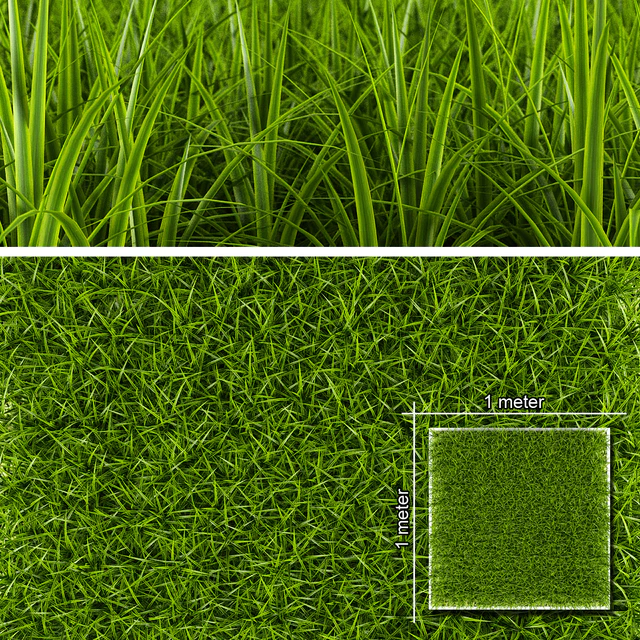 GRASS 1 — Скачать