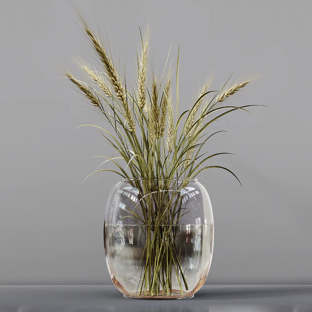 Collection Indoor Plants 03 — Descargar