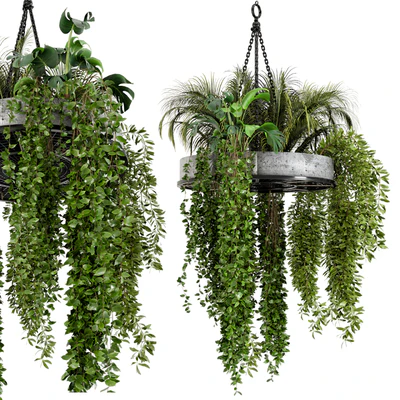 Indoor Hanging Plants in Metal Box - Set 86 — Вид 2