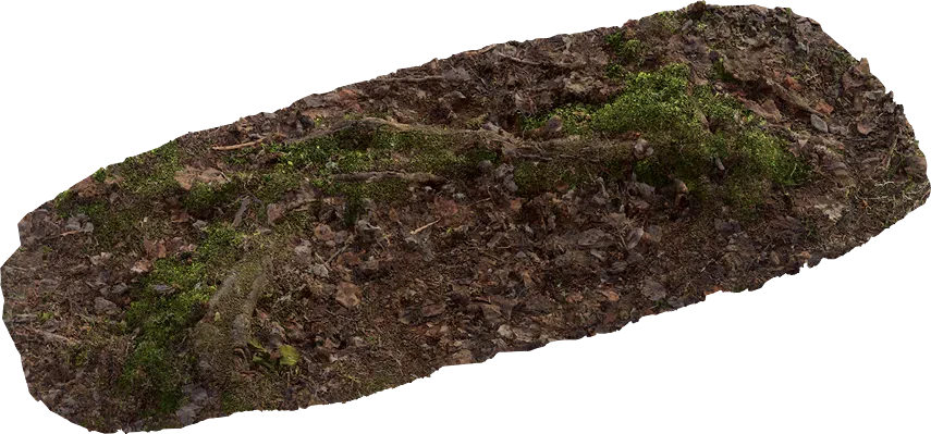 mossy embankment 003 — Скачать