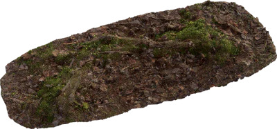 mossy embankment 003 — Скачать