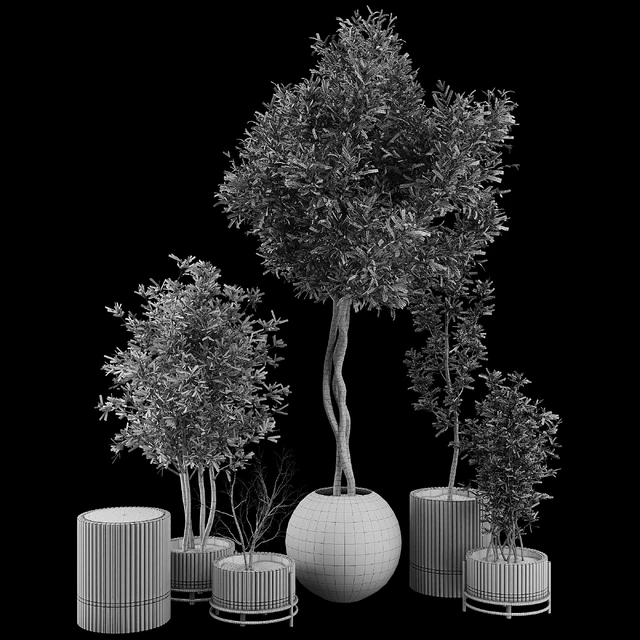 Plant Collection Set 03 — Descargar