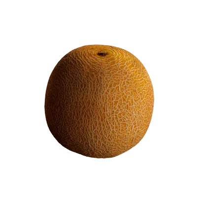 melon 001 — Download