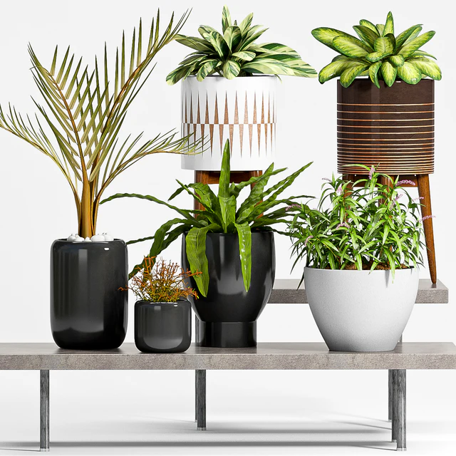 PLANT -50 — Descargar
