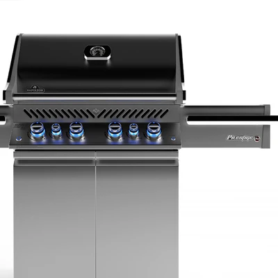 Grill Napoleon PRO 500 — Ver 2
