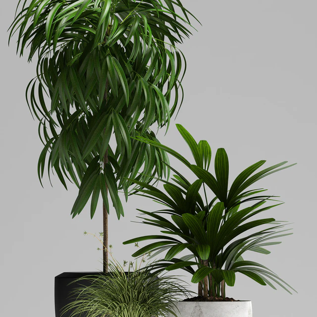 PLANTS 134 — Скачать