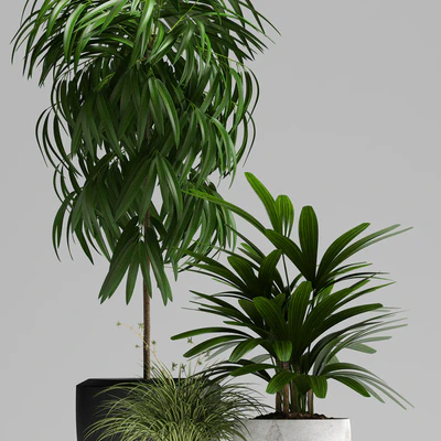 PLANTS 134 — Вид 2