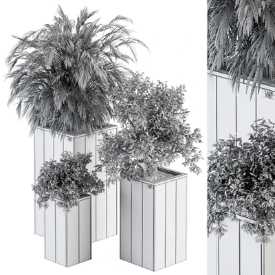 Outdoor Plant Set 297 - Wooden Plant Box — Вид 3