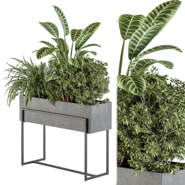 indoor Plant Set 321 - Plant Set in Black Box — Descargar