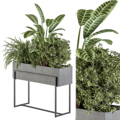 indoor Plant Set 321 - Plant Set in Black Box — Ver 1