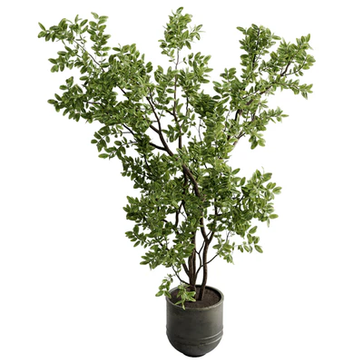 Ficus elastica branch in a metal pot - set indoor plant 618 — Вид 2
