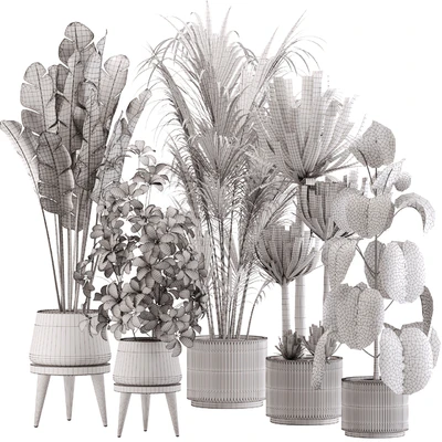 indoor plant Set 13 — Вид 3