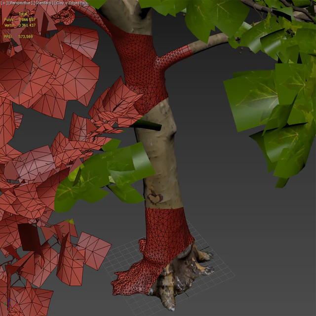 Plane-tree / Sycamore / Platanus #13 — Descargar