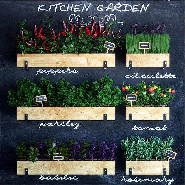 Kitchen garden — Descargar