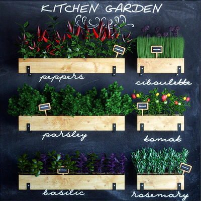 Kitchen garden — Ver 1