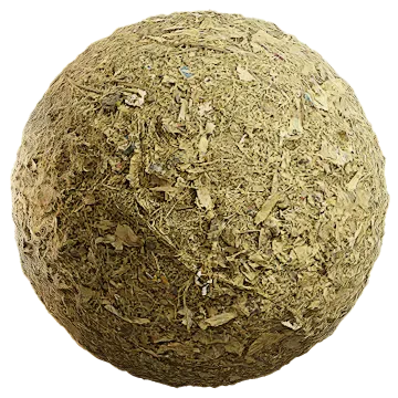 grass dried 062 — Скачать