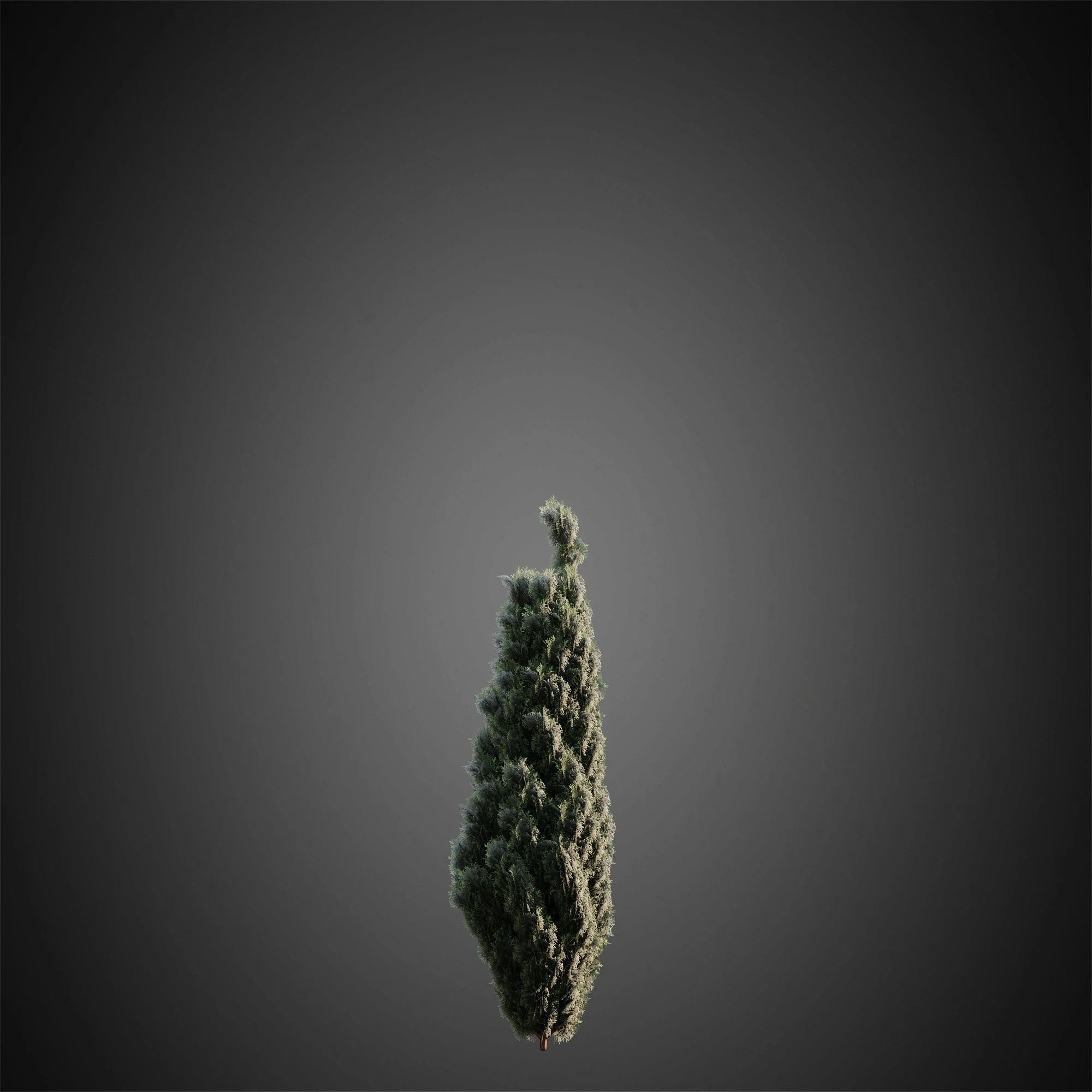 009 — Скачать