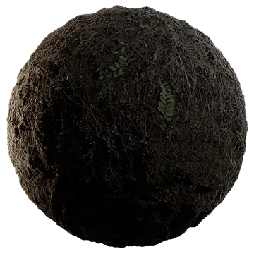 old mossy fern wall 001 — Скачать