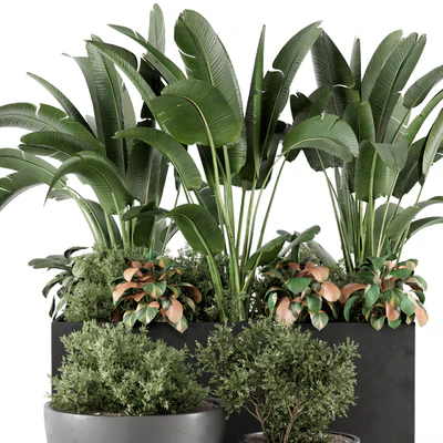 Outdoor Garden set Bush and Tree - Garden Set 1144 — Ver 3