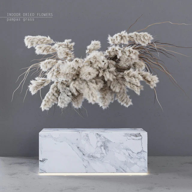 INDOOR DRIED FLOWERS / pampas grass — Descargar