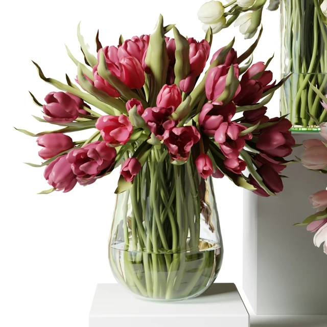 Red, pink and white tulips in glass vases — Descargar