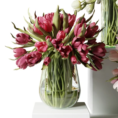 Red, pink and white tulips in glass vases — Ver 2
