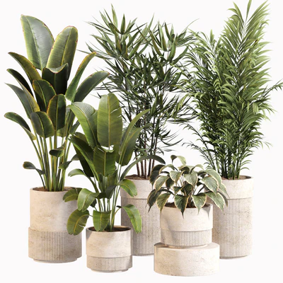 Indoor Plant Set 031 — descargar