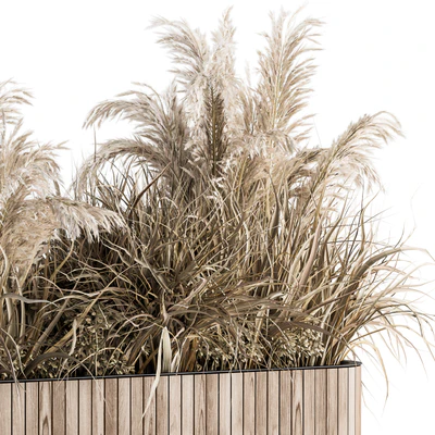 indoor Plant Set 122- Dried Plants in Wood Stand — Ver 2