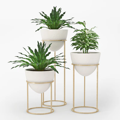 Plant — Вид 1