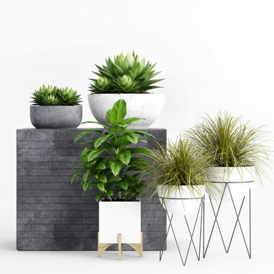 Plants and Planters  1 — Ver 1