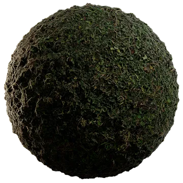 wild grass and weeds 001 — Скачать