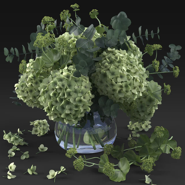 Hydrangea — Descargar