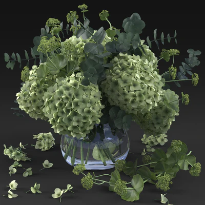 Hydrangea — Ver 1
