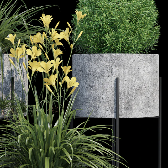 Cylinder linea — Descargar